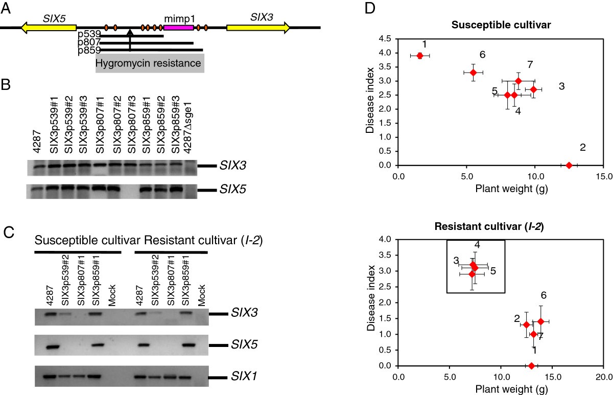 Figure 6