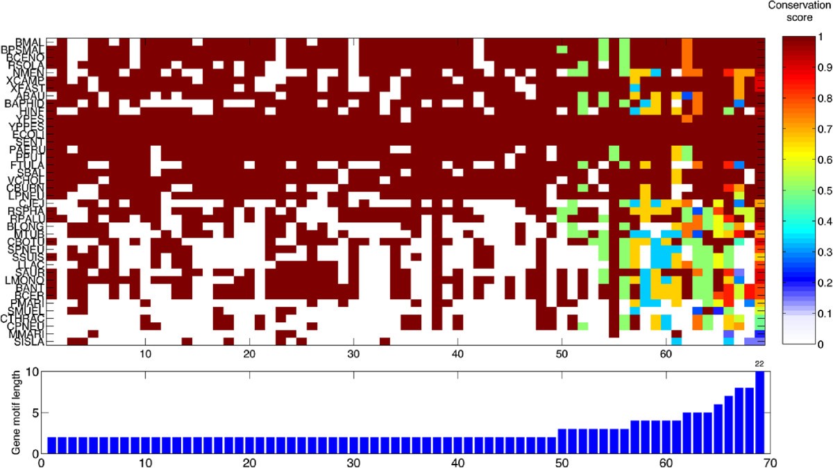 Figure 10