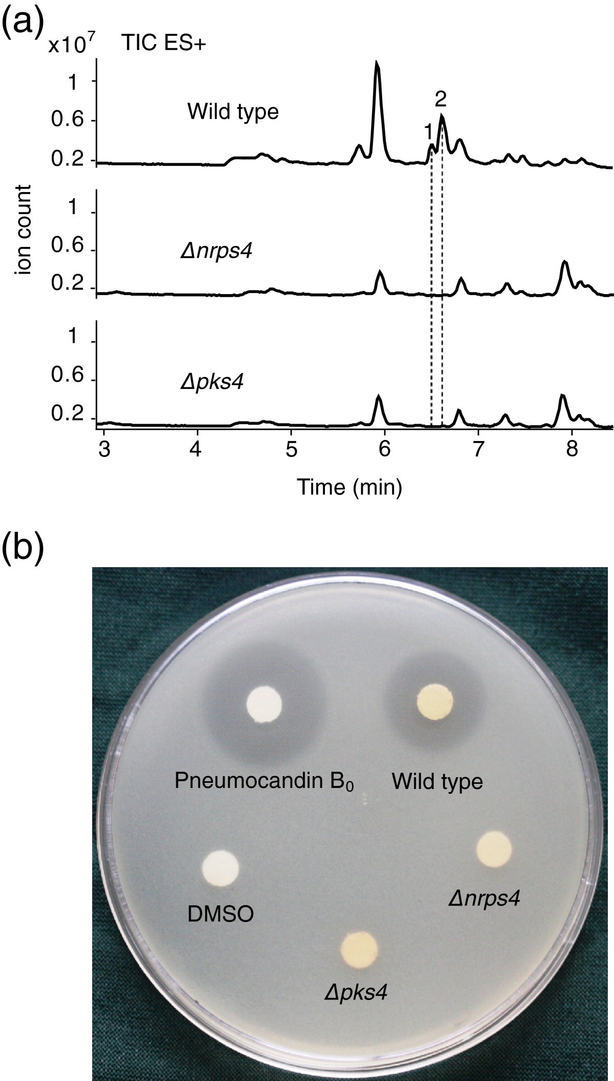 Figure 9