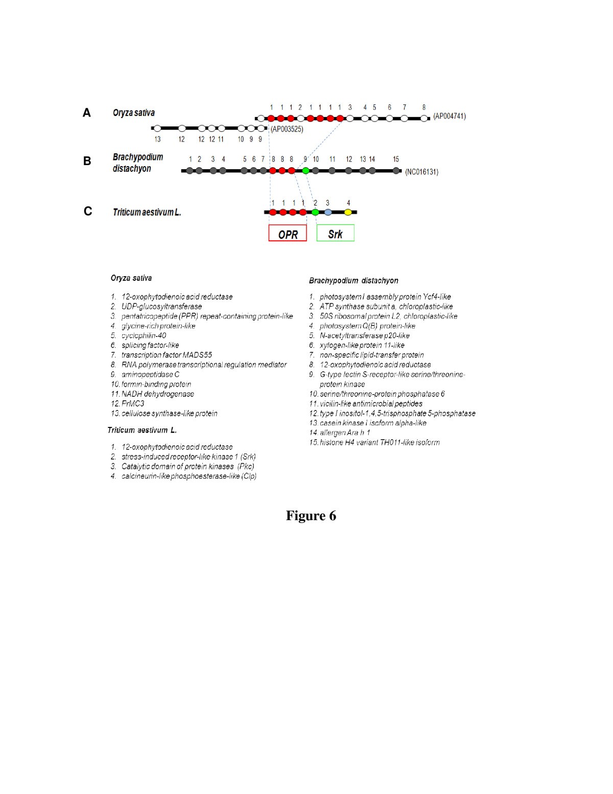 Figure 6