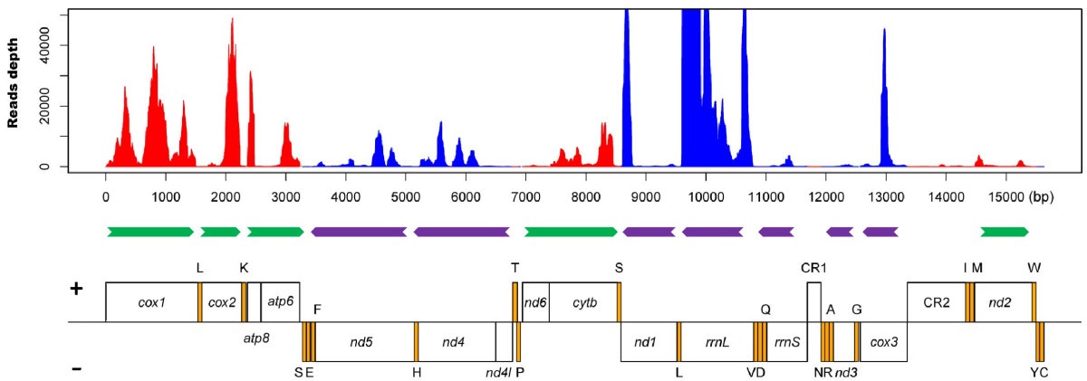 Figure 5