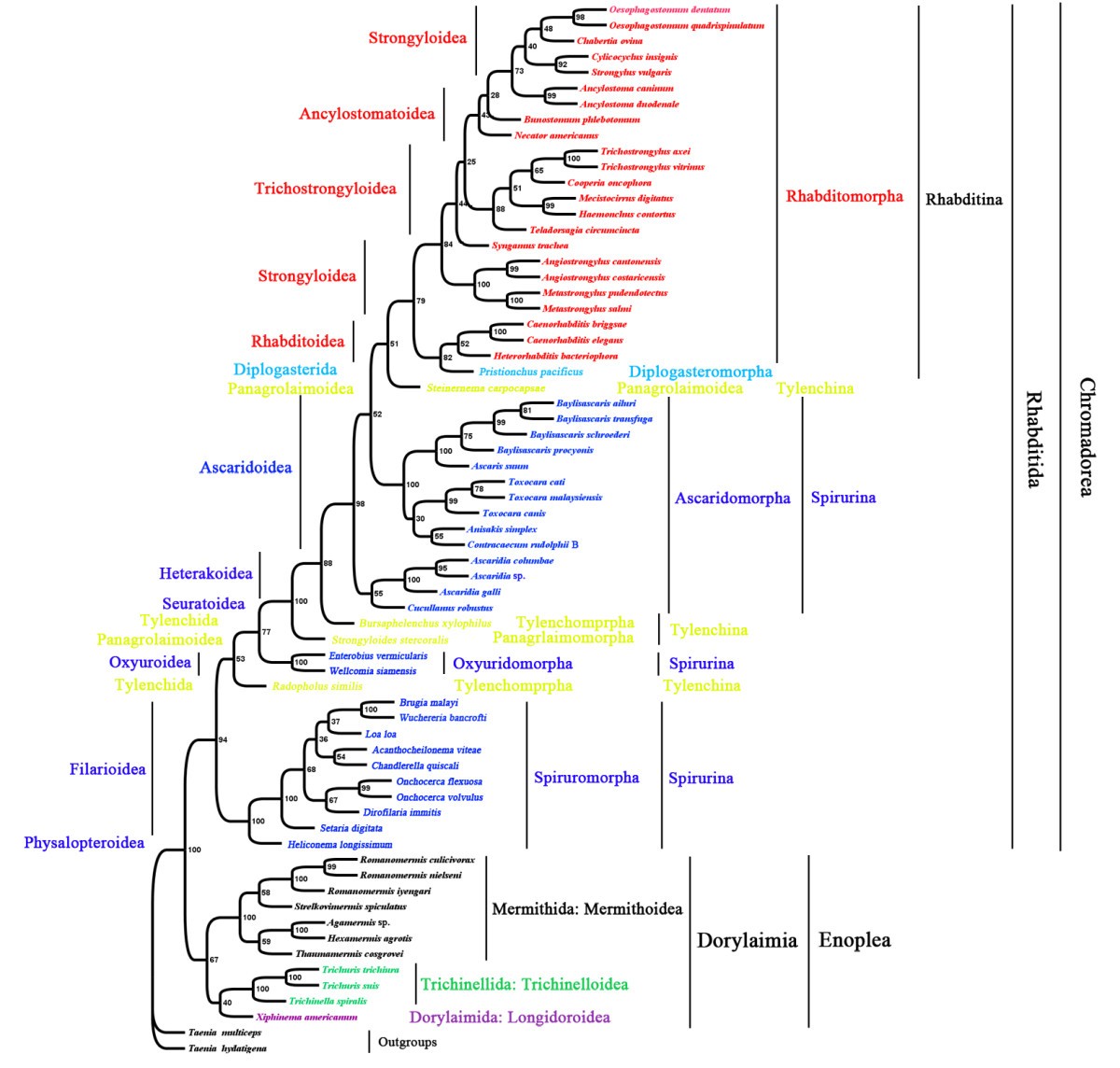 Figure 6