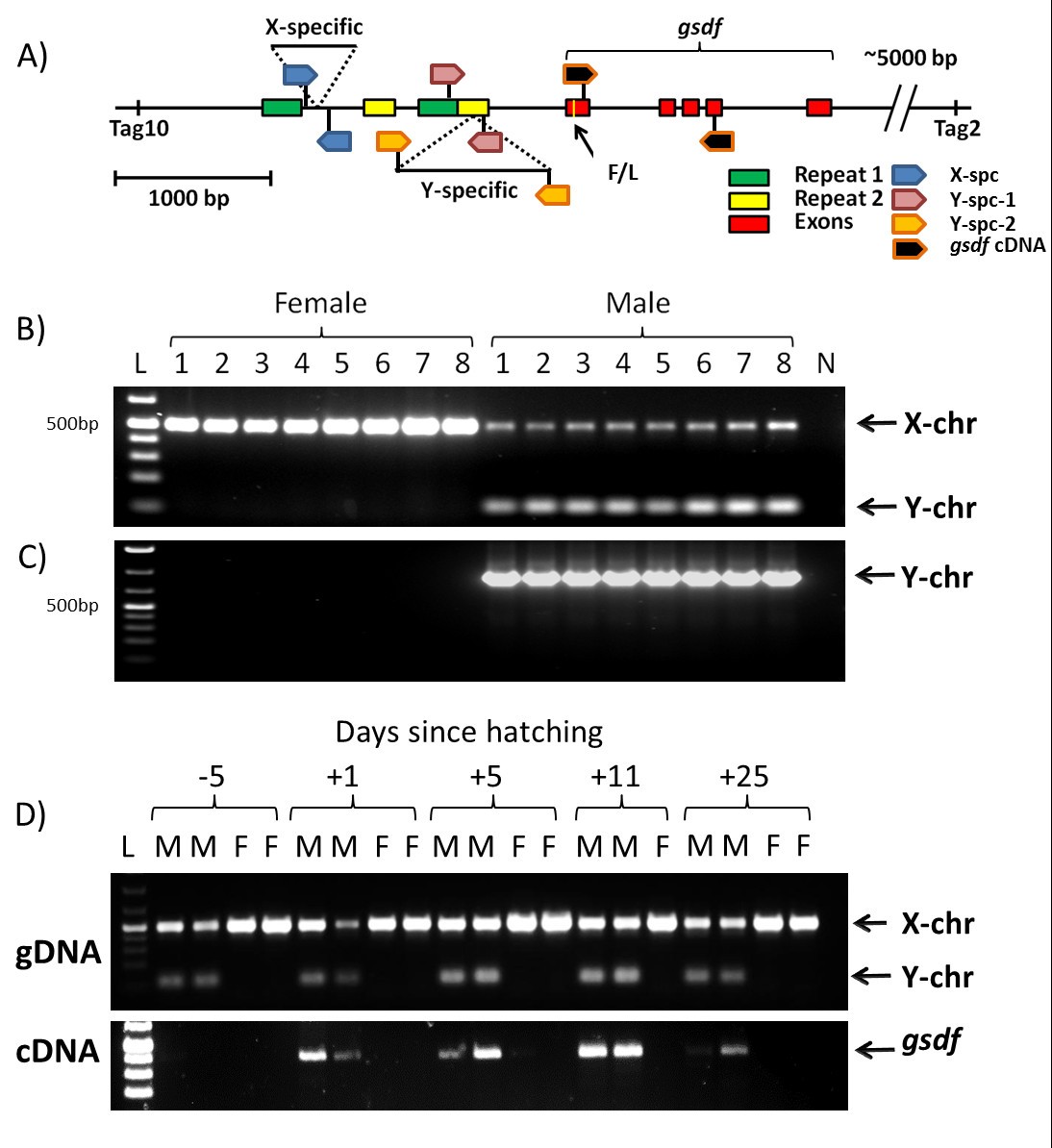 Figure 5