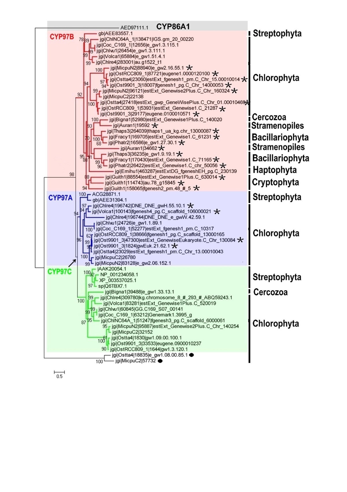 Figure 5