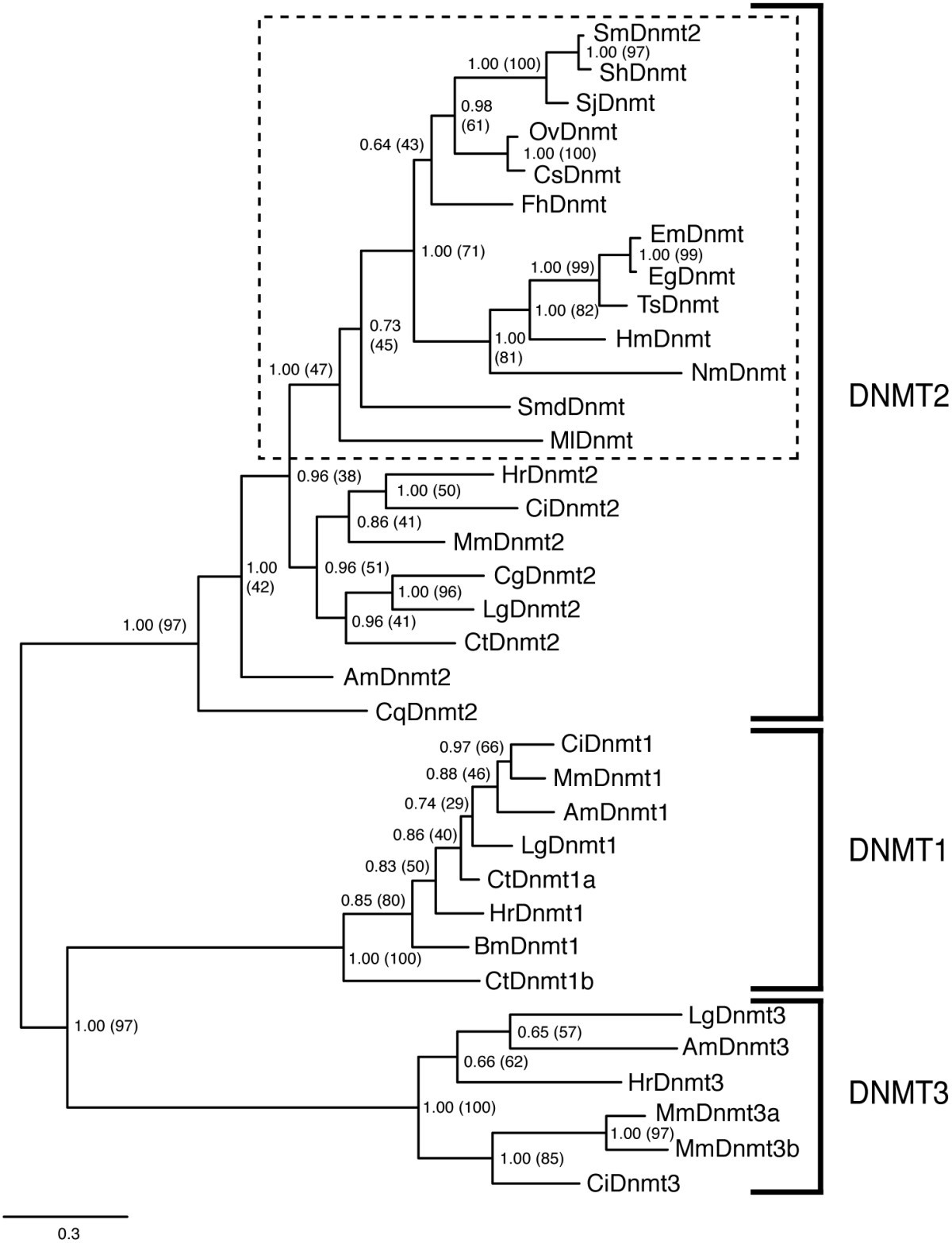 Figure 2