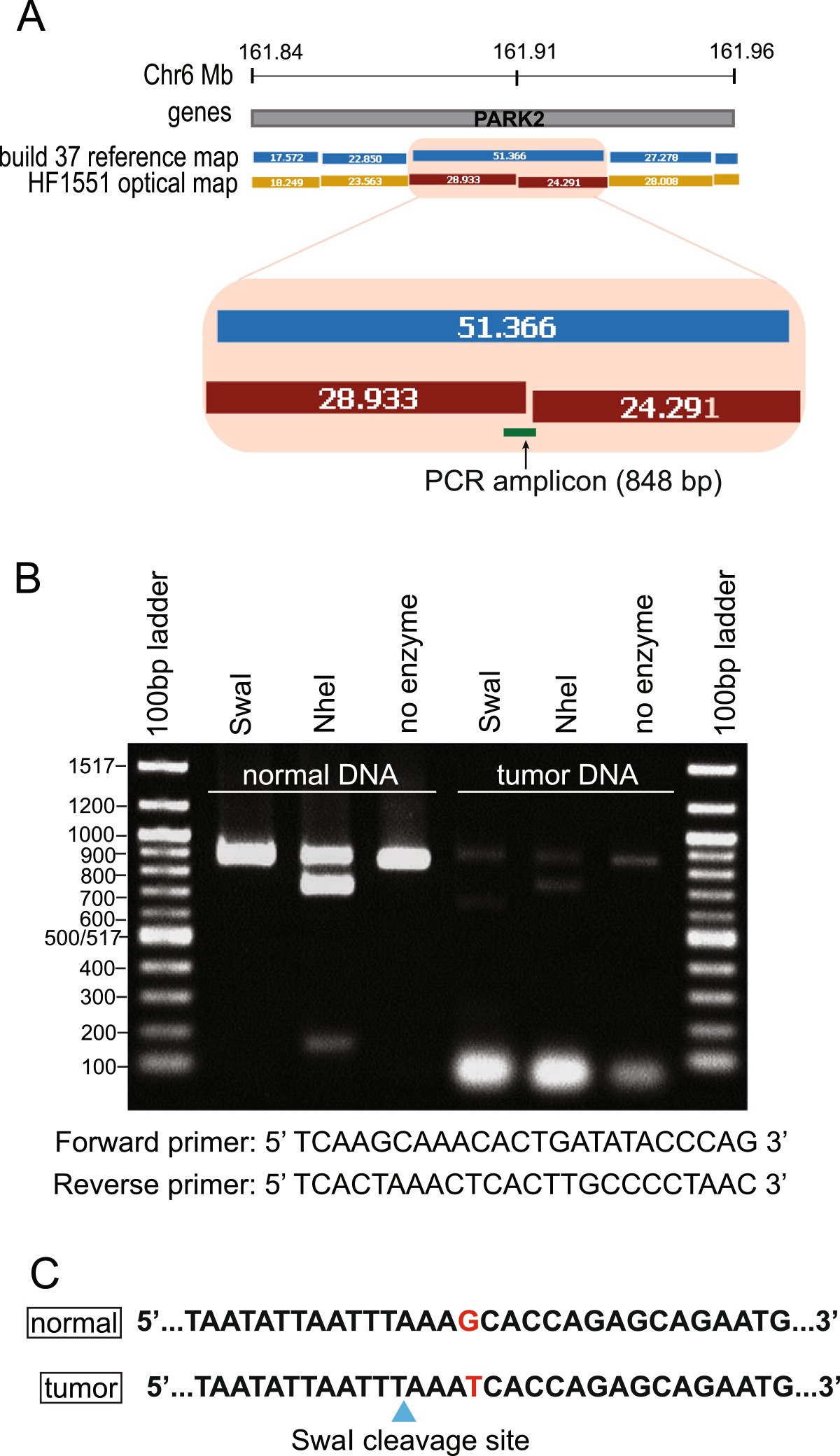 Figure 6