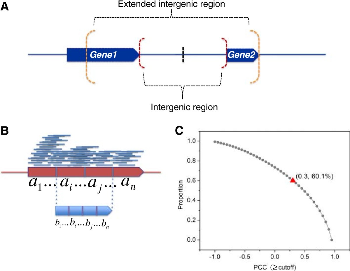 Figure 14