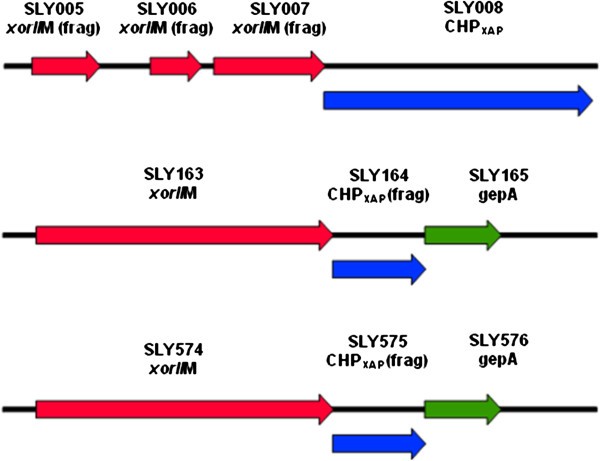 Figure 5