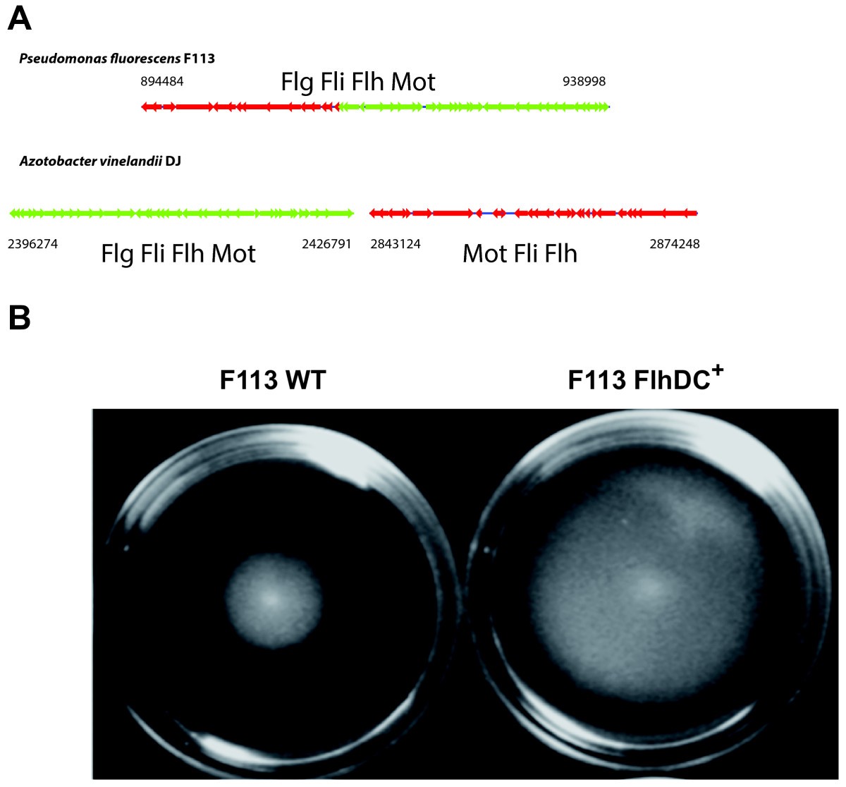 Figure 4