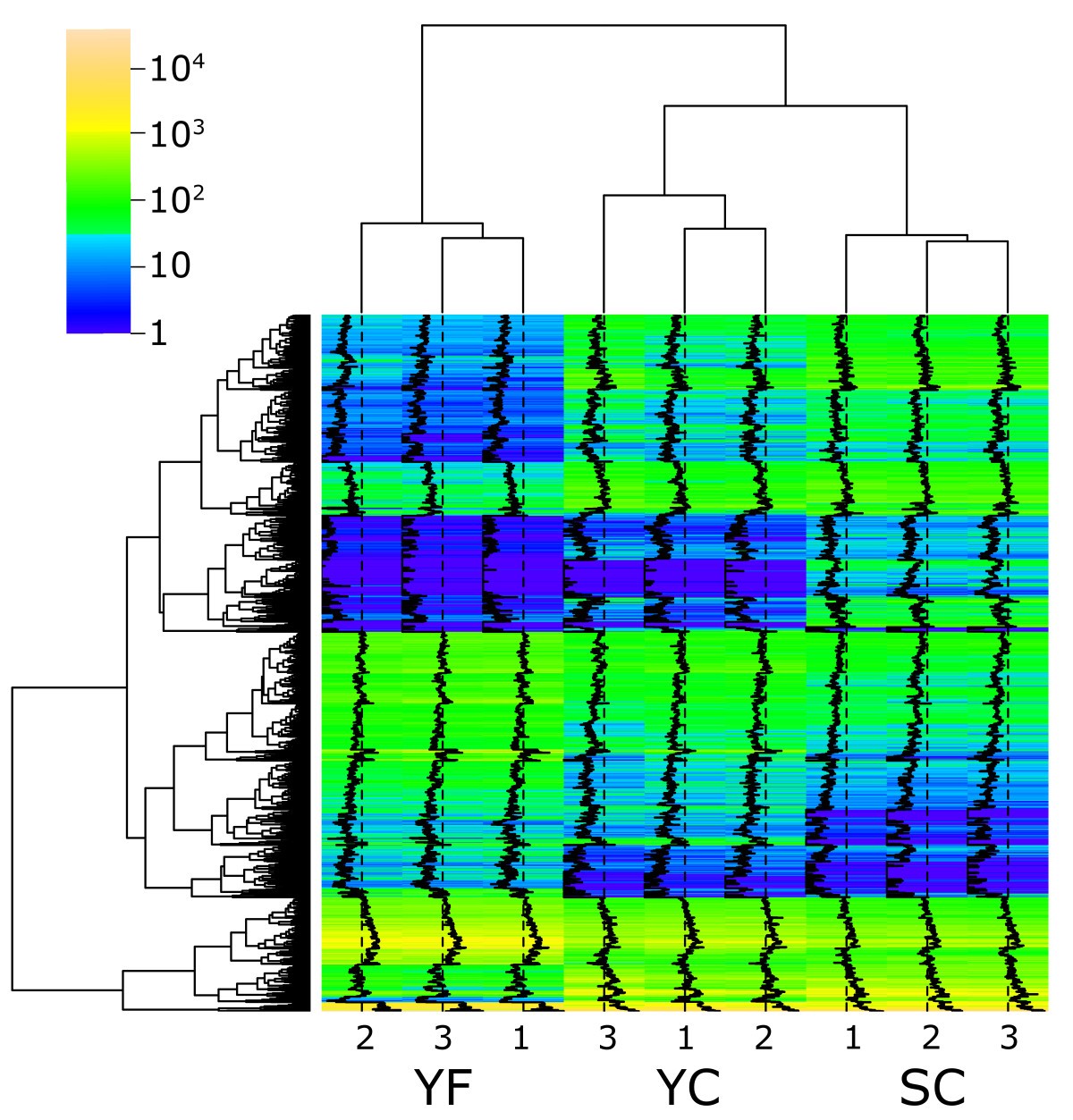 Figure 6