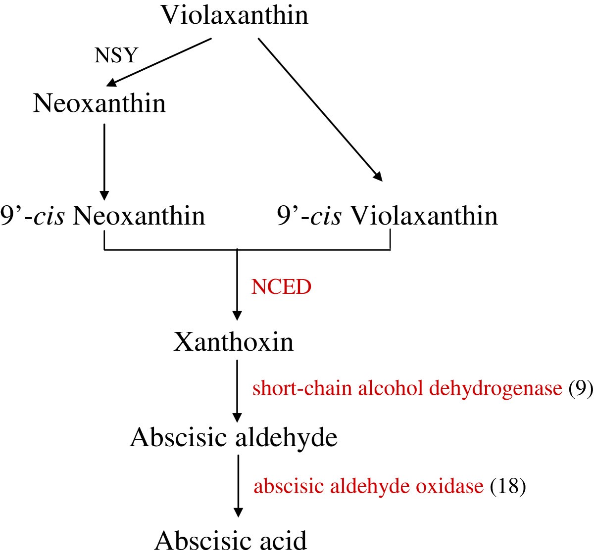 Figure 7