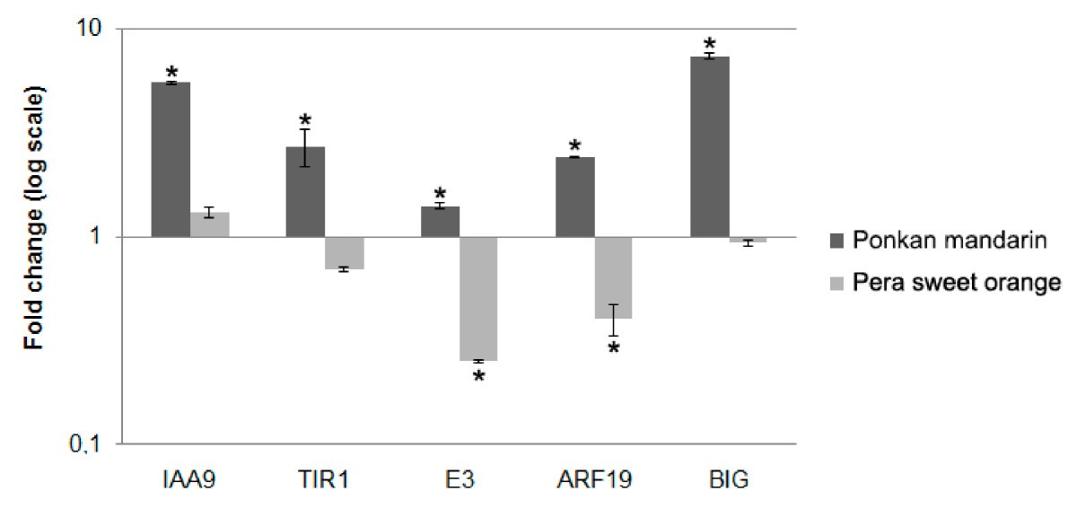 Figure 5