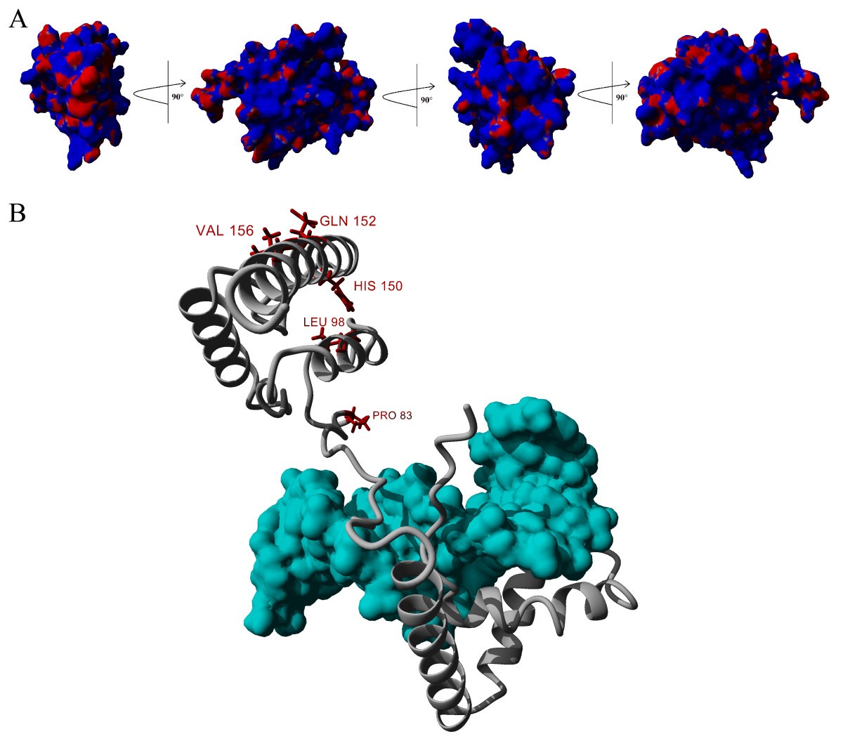 Figure 11