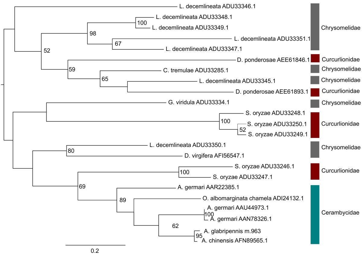 Figure 11