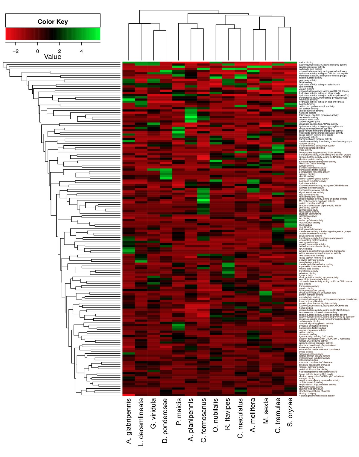 Figure 12