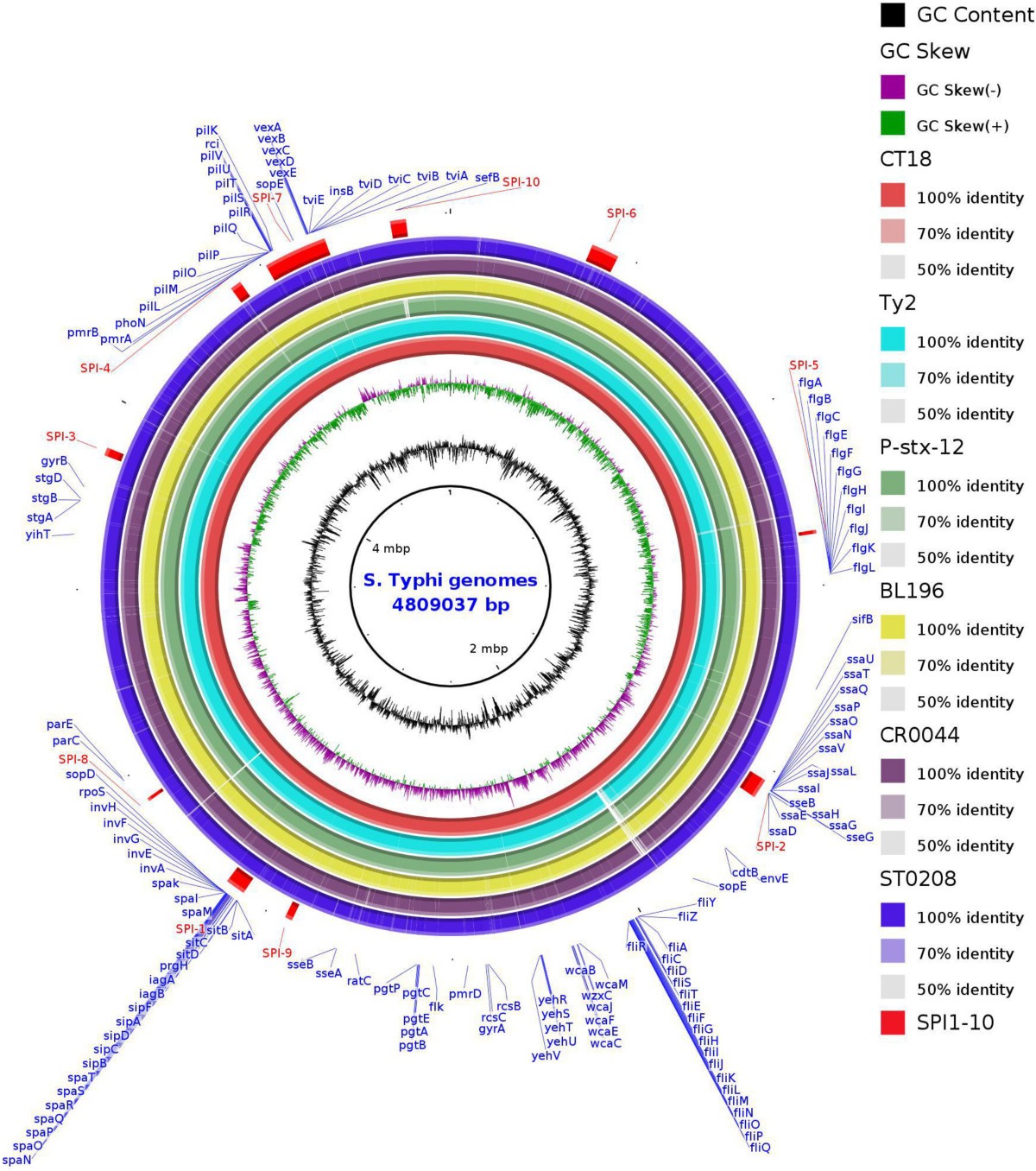 Retinal Dystrophies: Functional Genomics to Gene Therapy