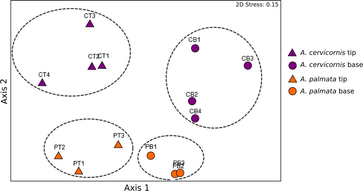 the genetics of colony form and function in caribbean acropora lamarck vs darwin venn diagram