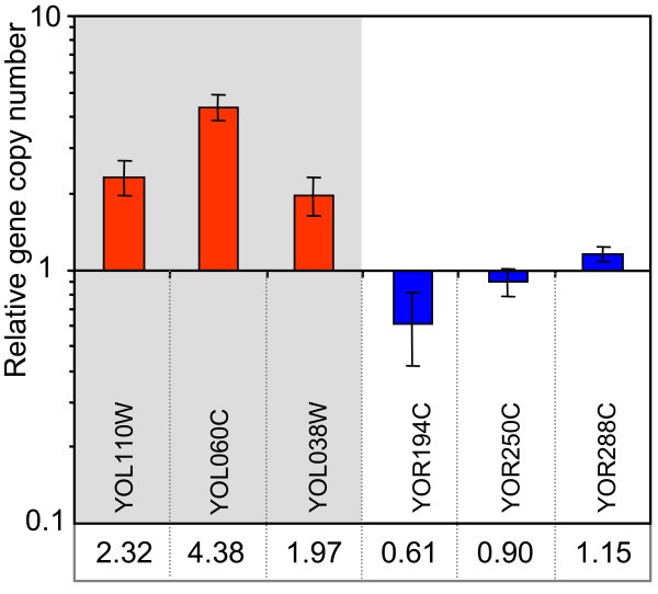 Figure 6