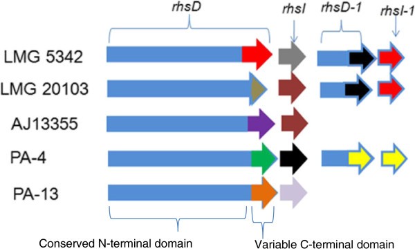 Figure 5