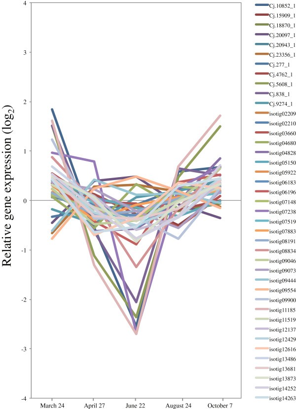 Figure 19