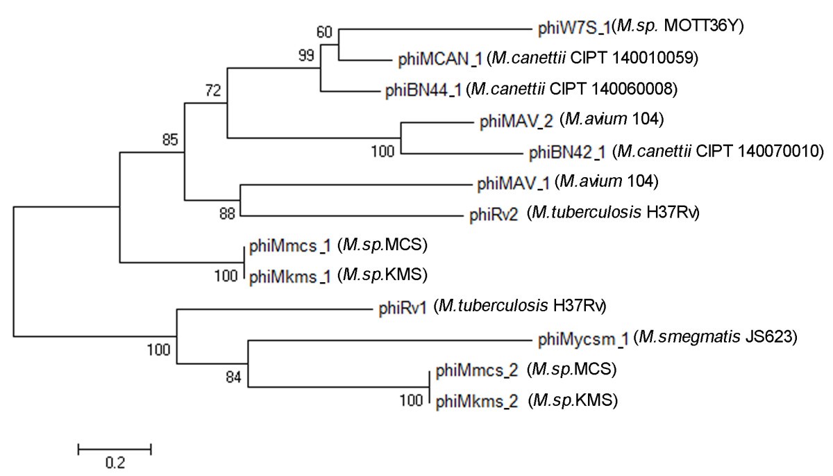 Figure 5