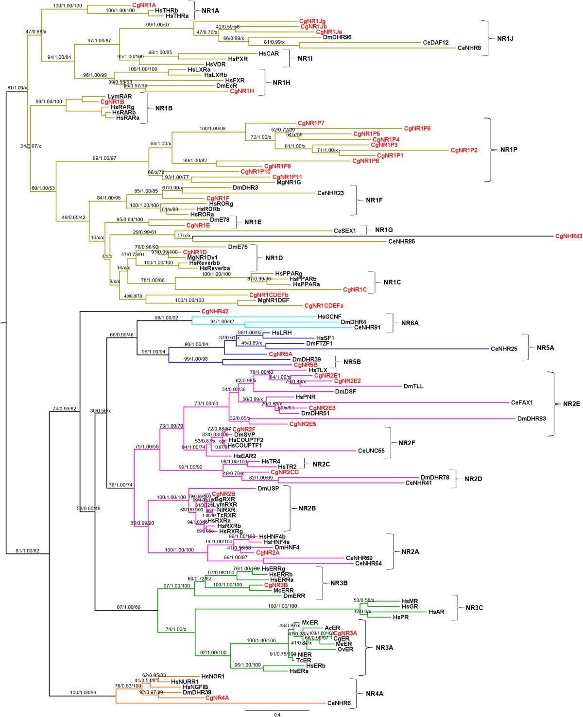 Figure 2