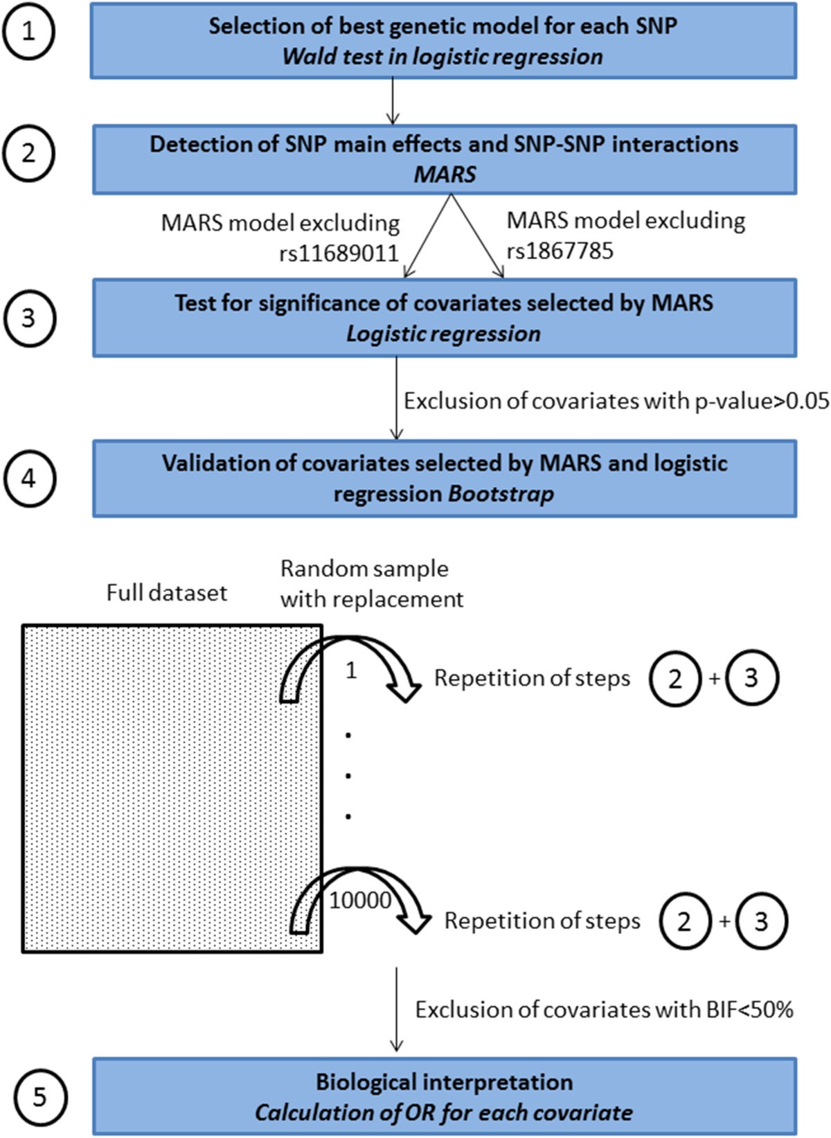 Figure 1