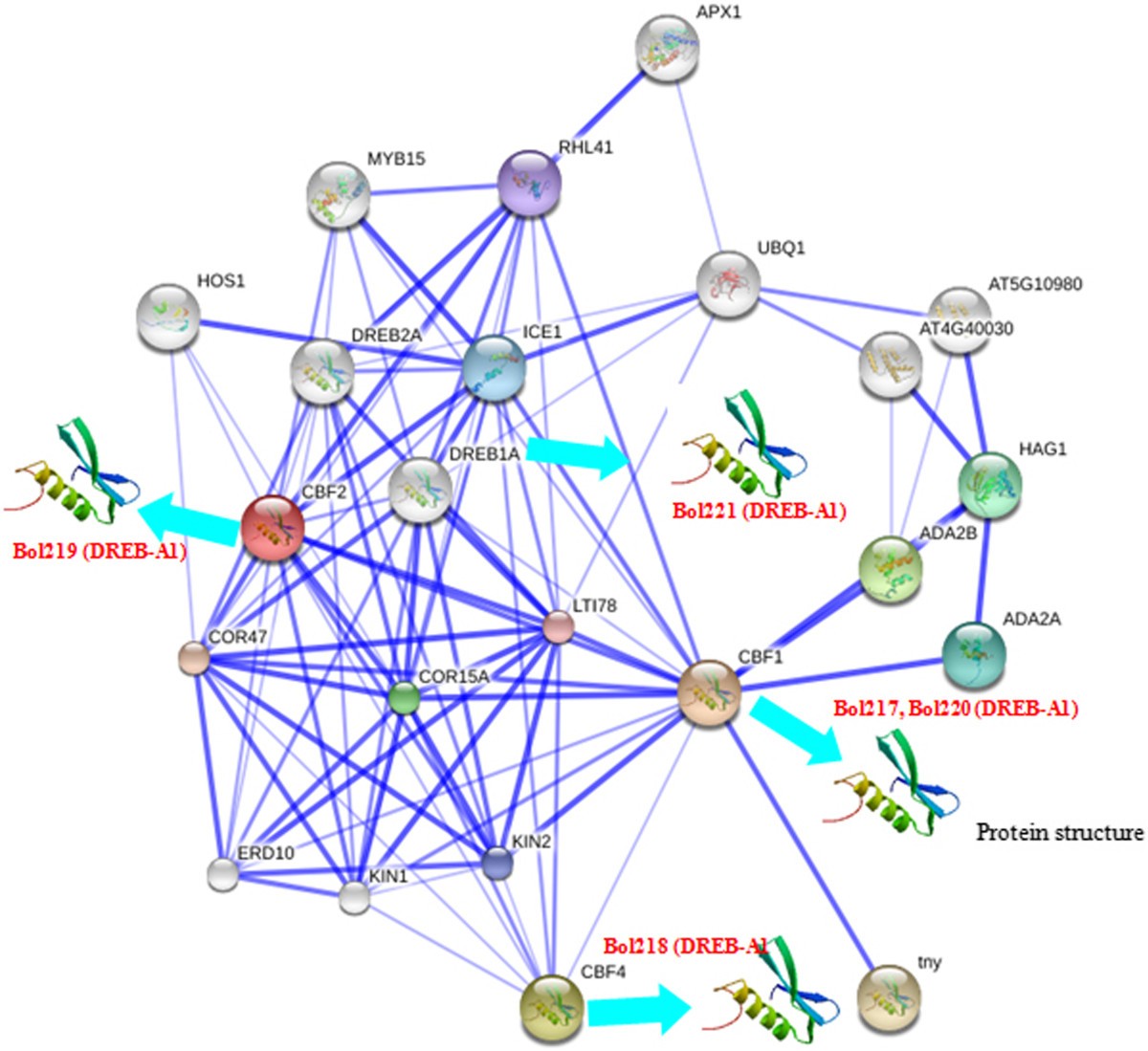 Figure 4