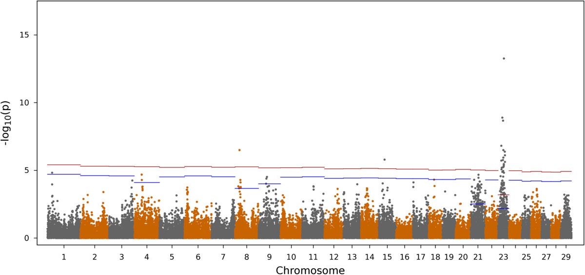 Figure 5