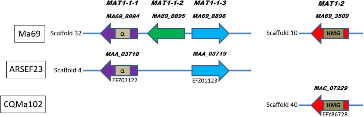 Figure 5