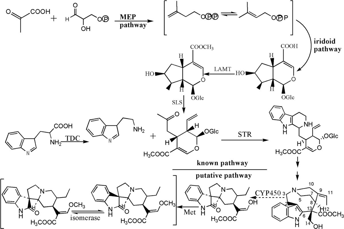 Figure 1