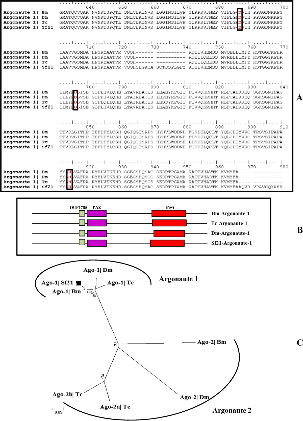 Figure 5