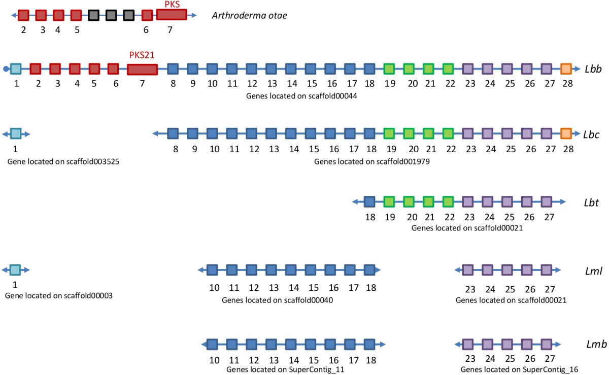 Figure 7