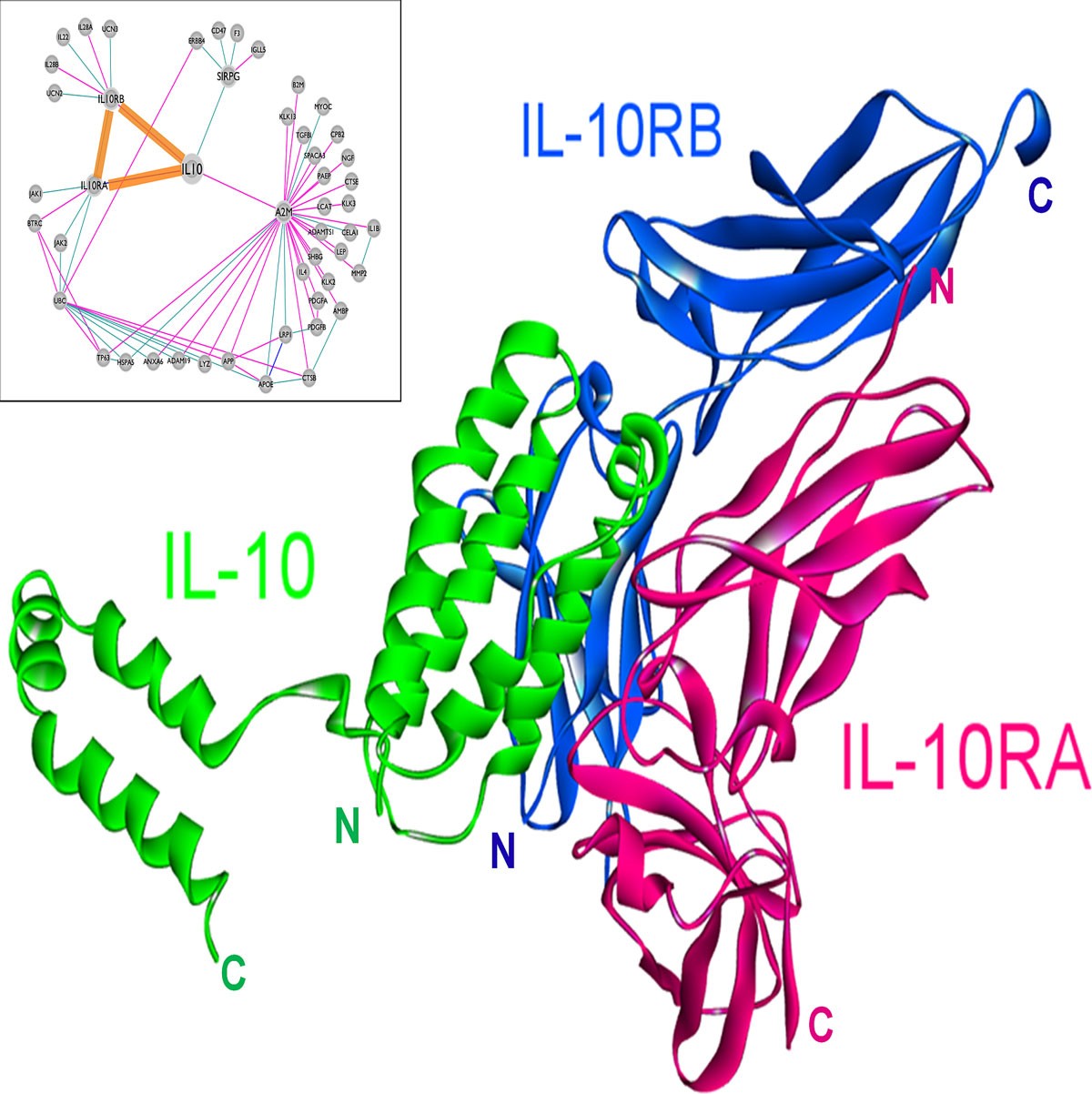 Figure 4