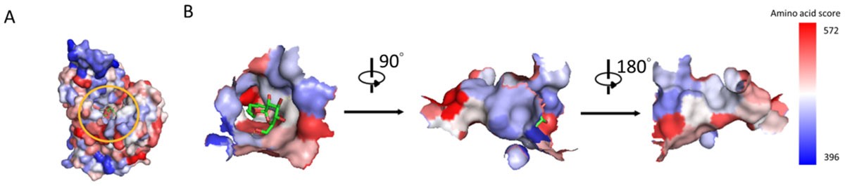 Figure 5