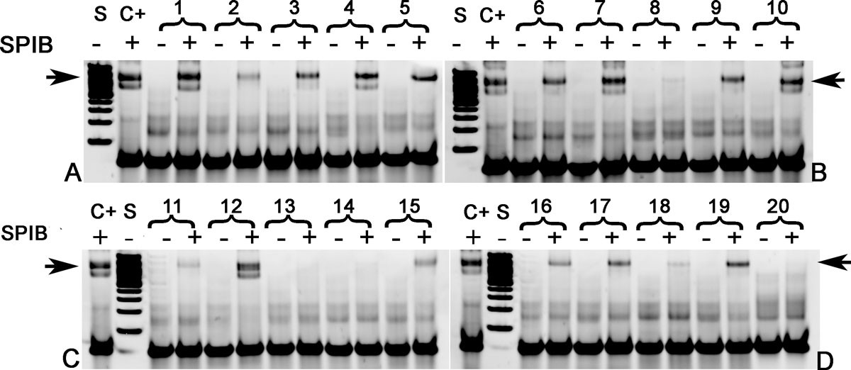 Figure 10