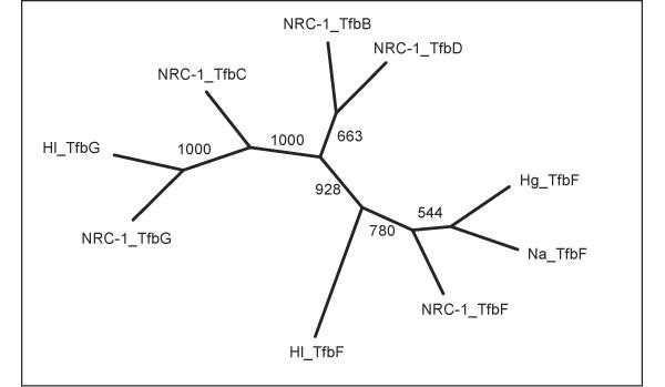 Figure 7