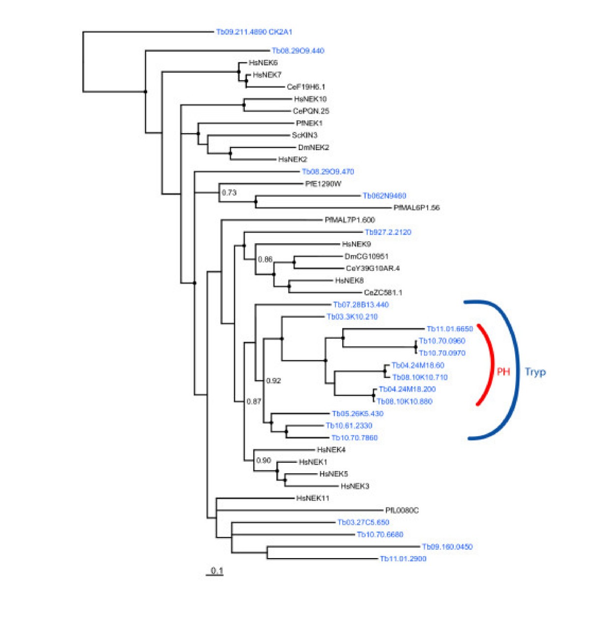 Figure 6