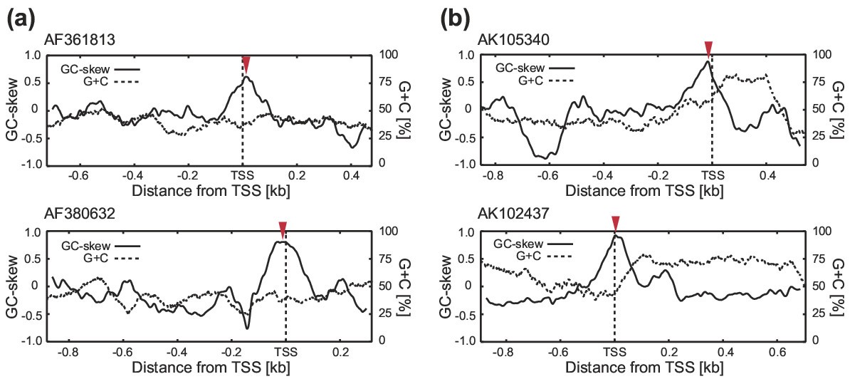 Figure 6