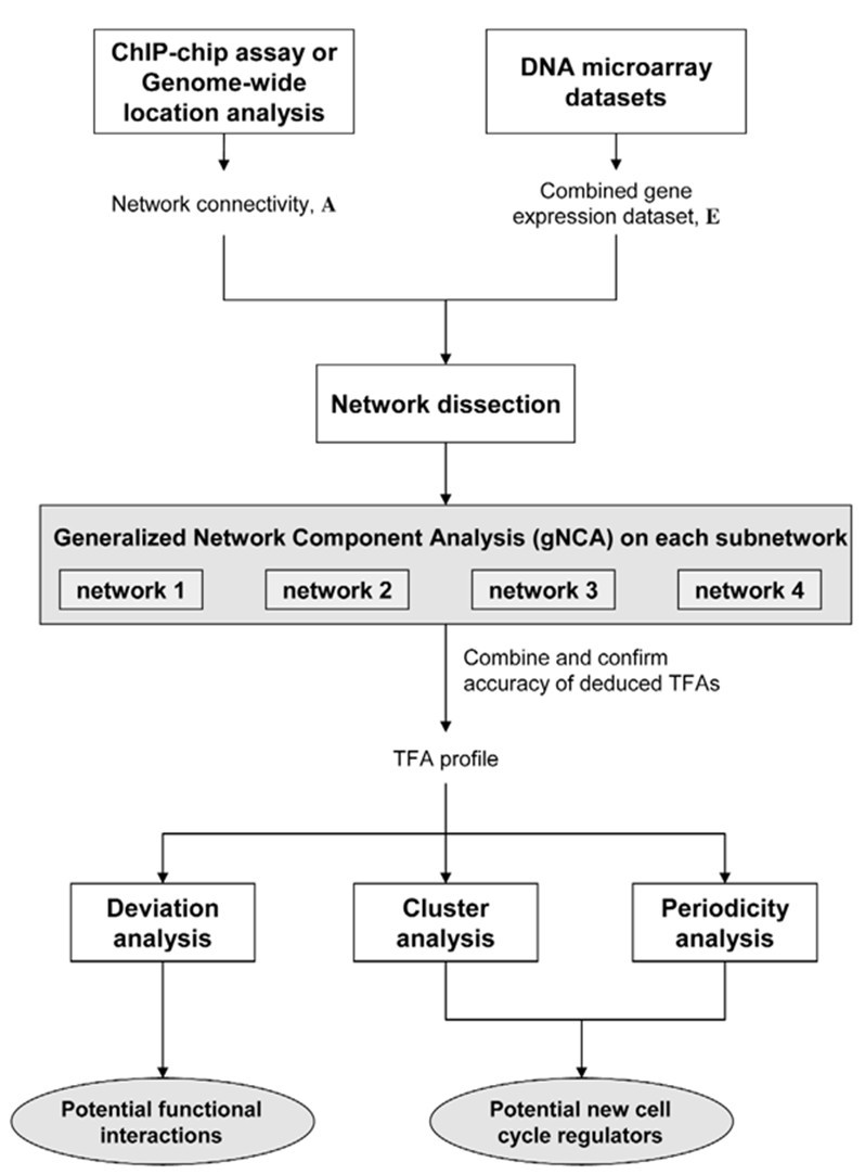 Transcription Flow Chart