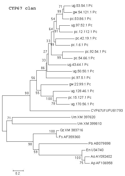 Figure 13