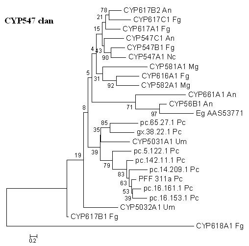 Figure 14