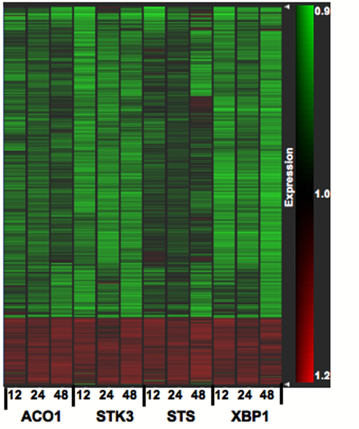 Figure 5