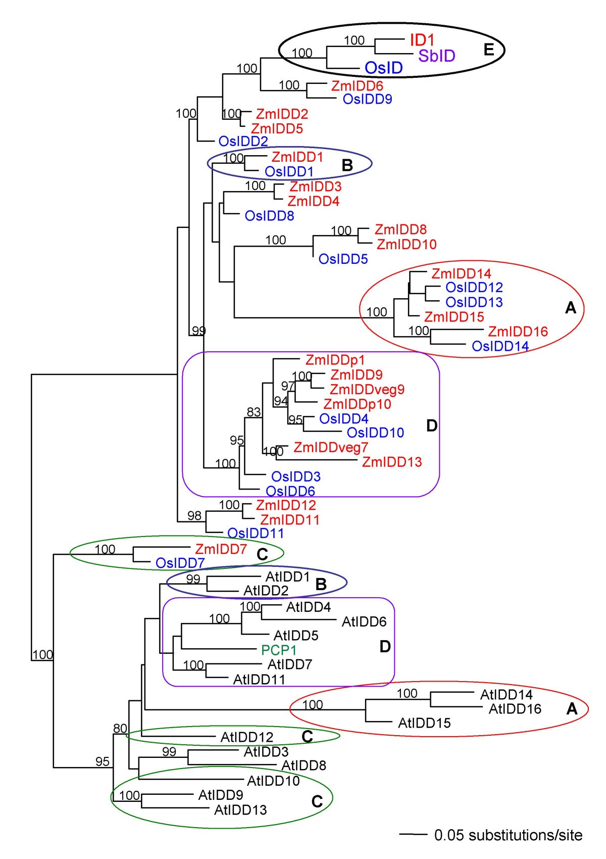 Figure 7