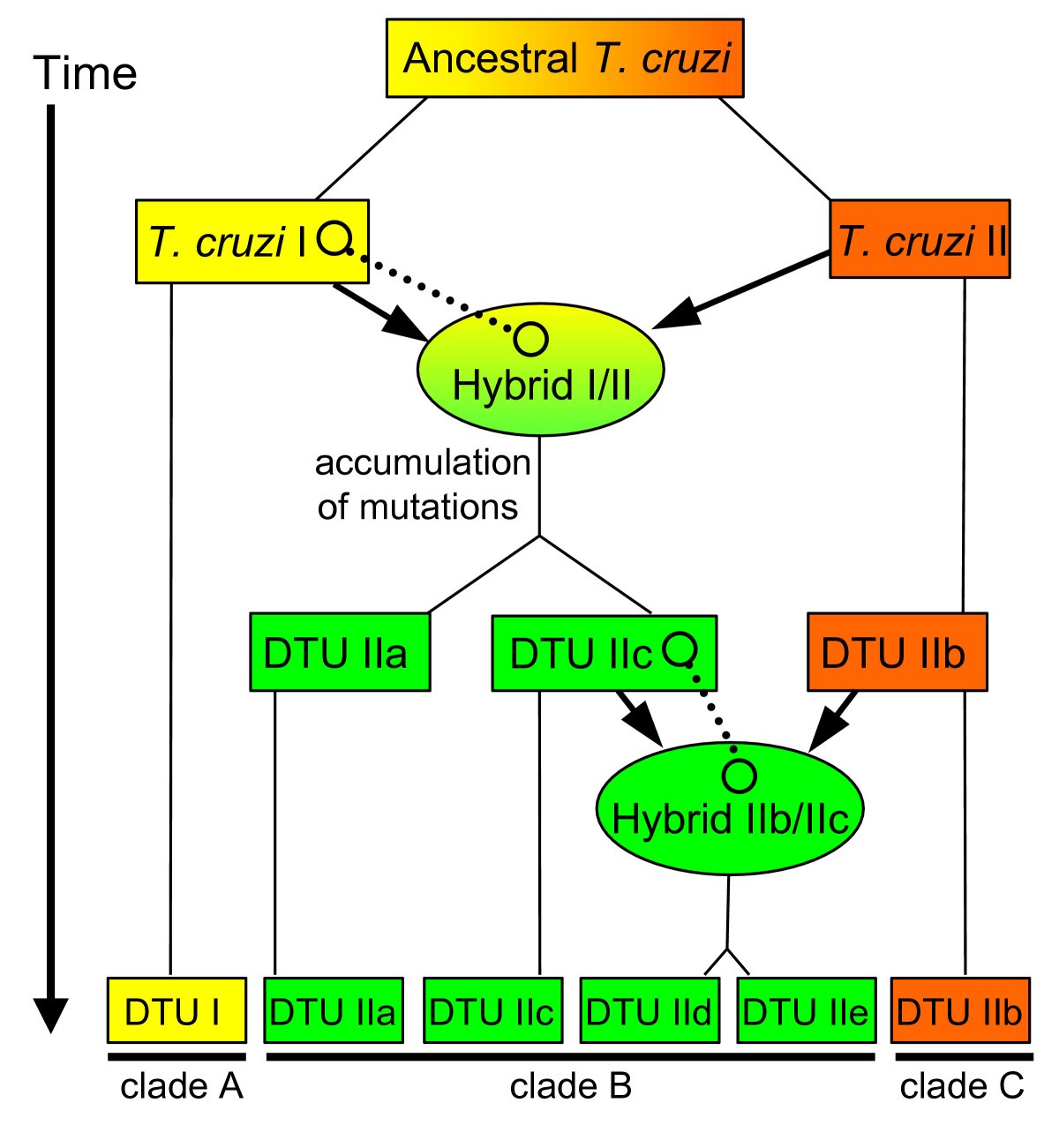 Figure 7