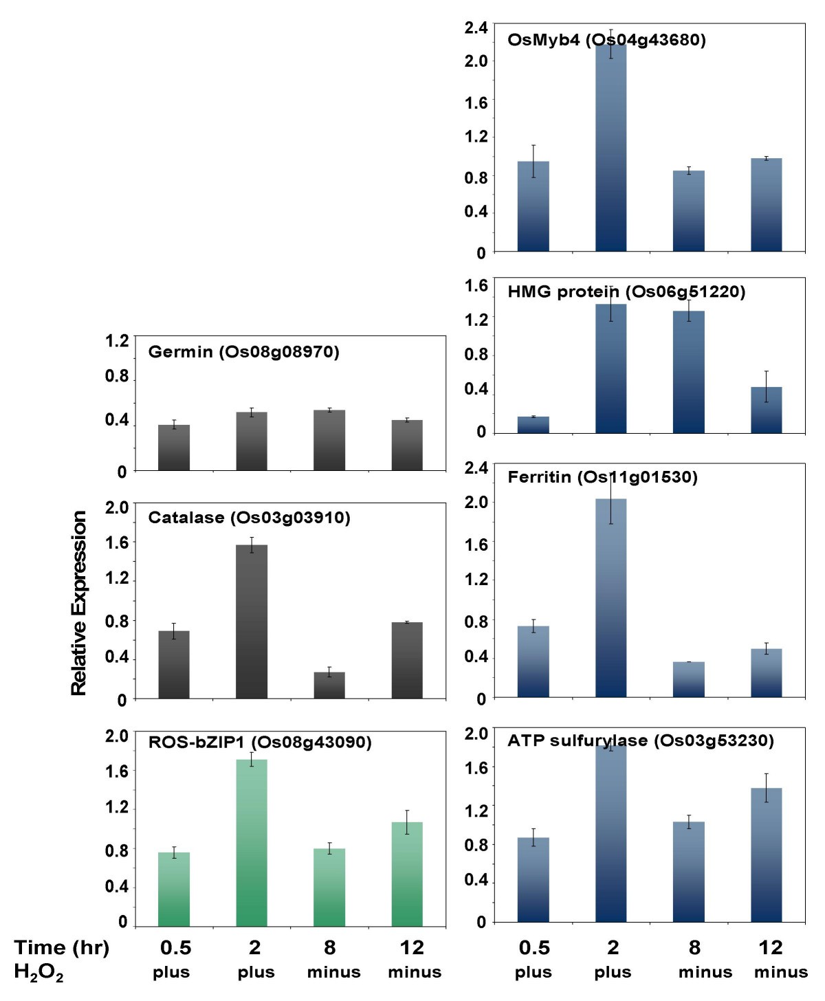 Figure 6