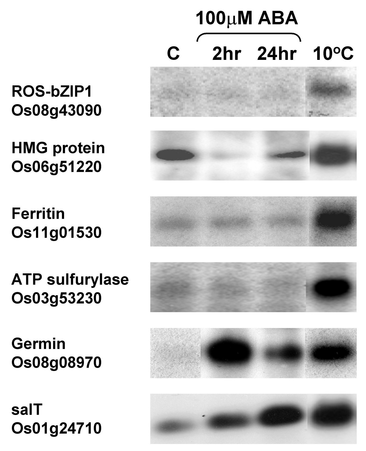 Figure 7