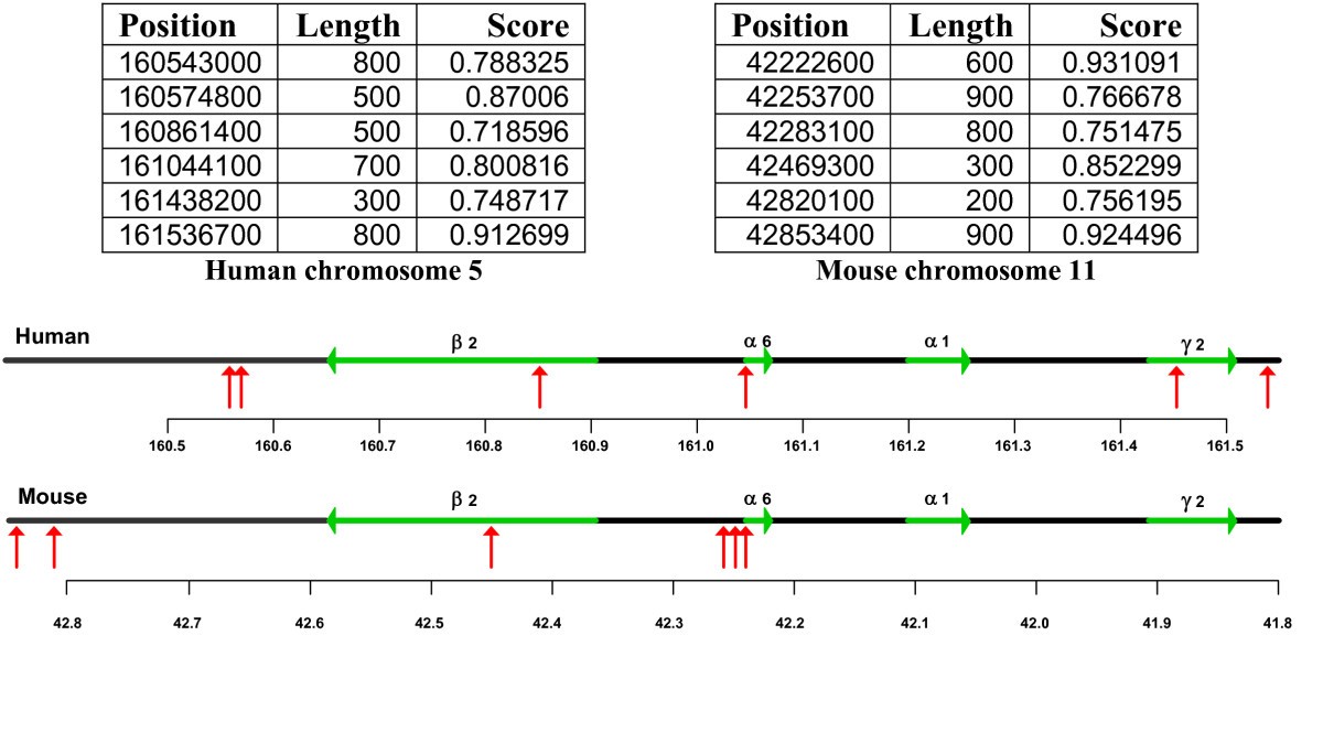 Figure 20