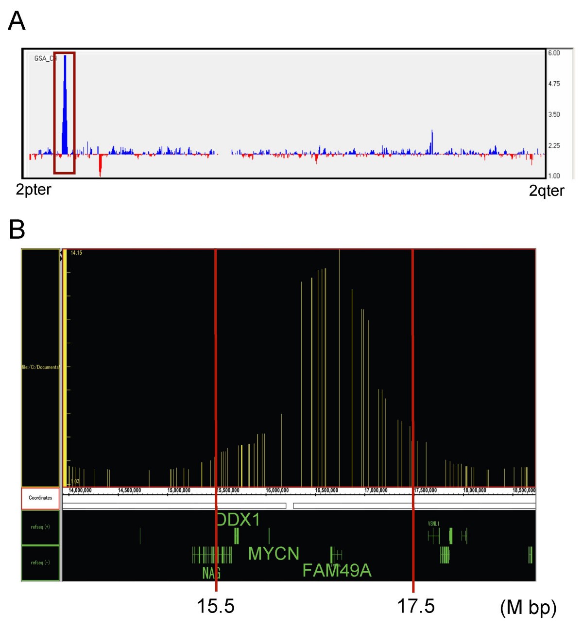 Figure 5