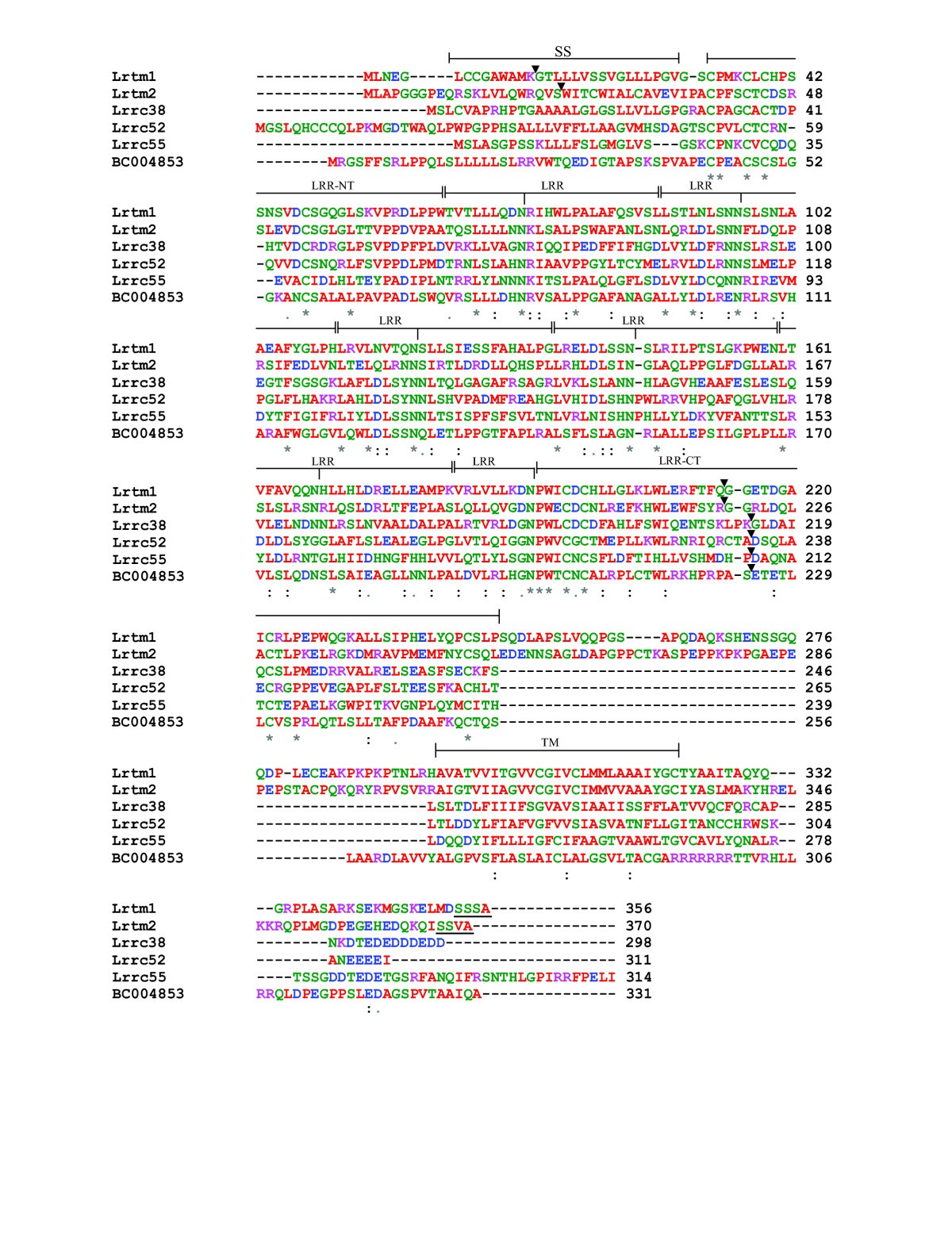 Figure 7